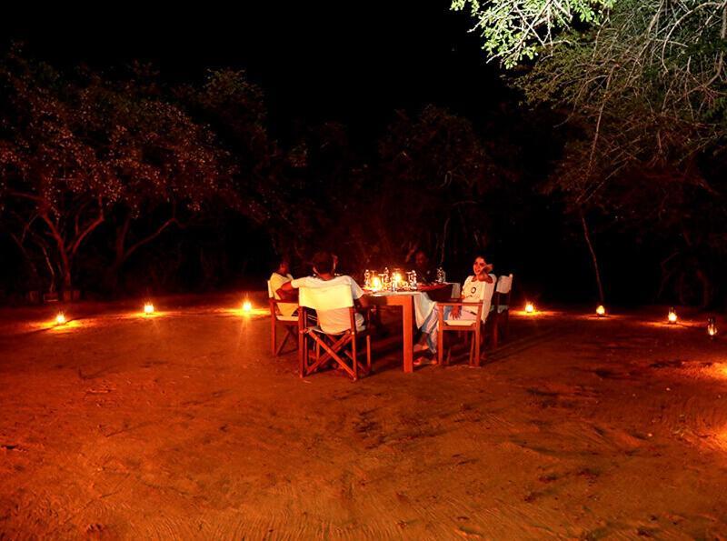 Yala Hotel Lion -Air Conditioned High Luxury Safari Camp エクステリア 写真