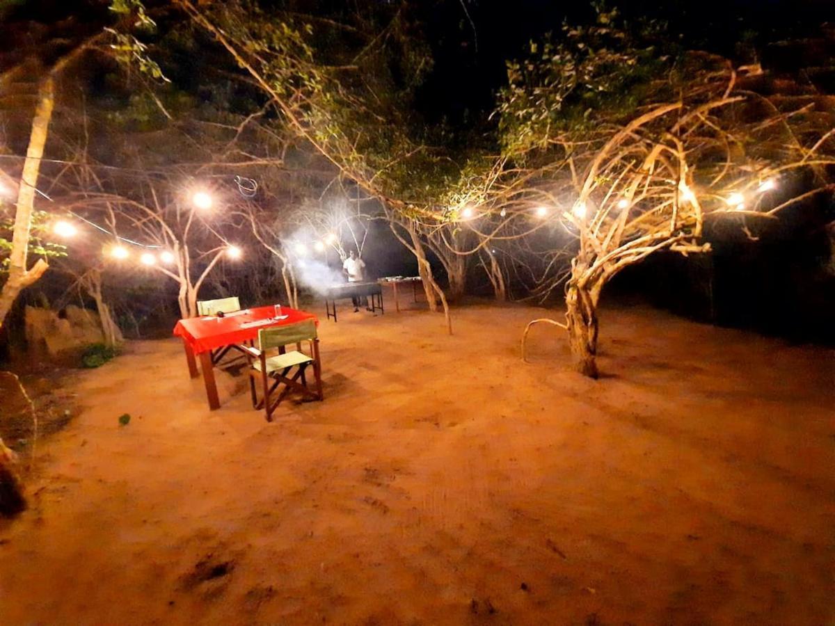 Yala Hotel Lion -Air Conditioned High Luxury Safari Camp エクステリア 写真