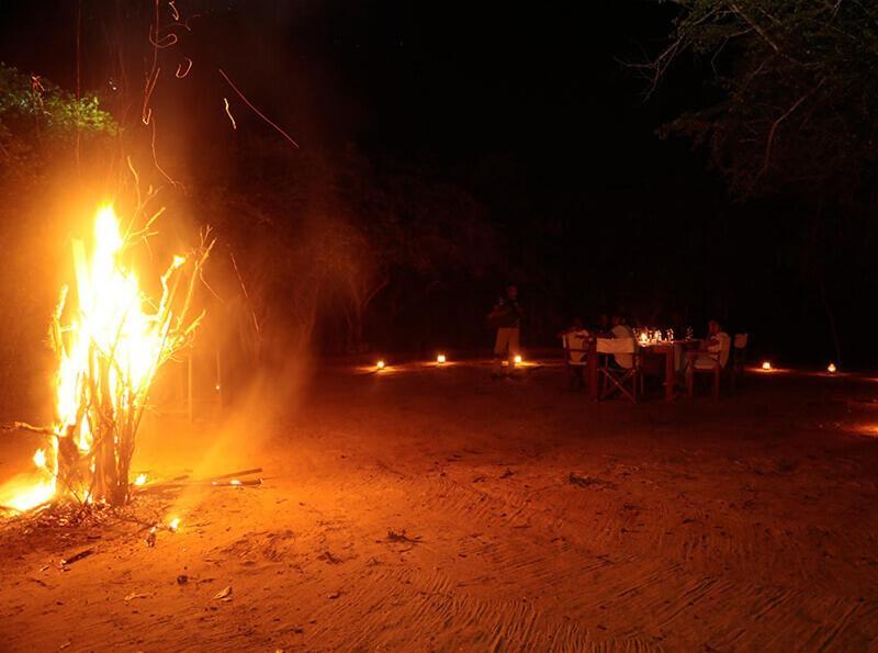 Yala Hotel Lion -Air Conditioned High Luxury Safari Camp エクステリア 写真