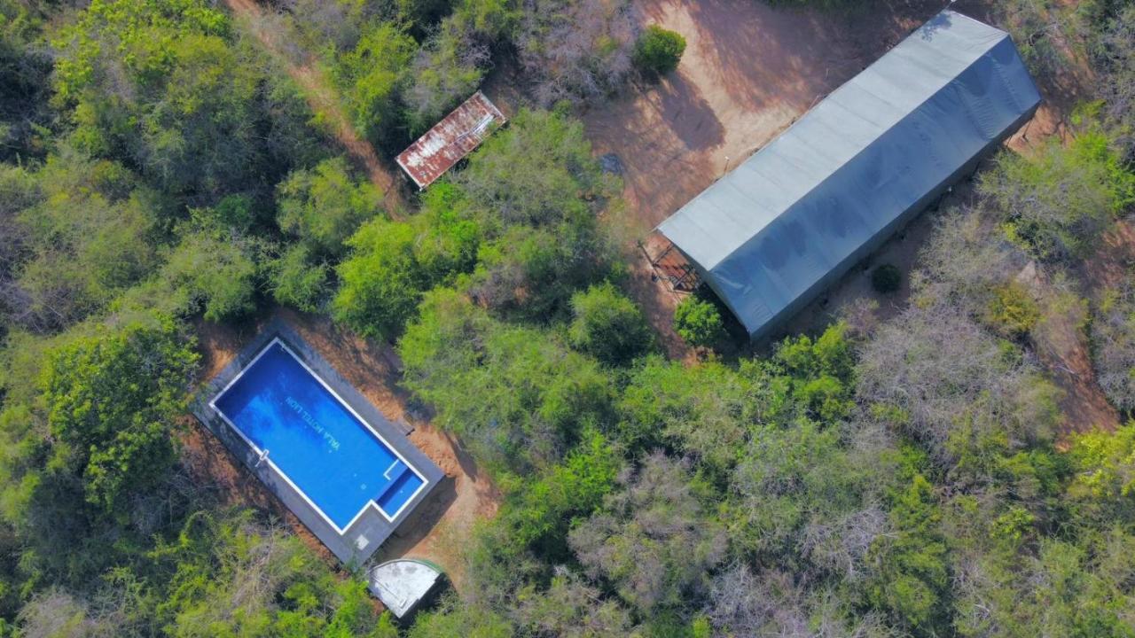 Yala Hotel Lion -Air Conditioned High Luxury Safari Camp エクステリア 写真