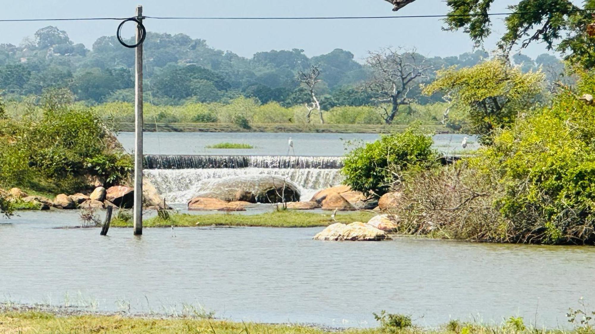 Yala Hotel Lion -Air Conditioned High Luxury Safari Camp エクステリア 写真