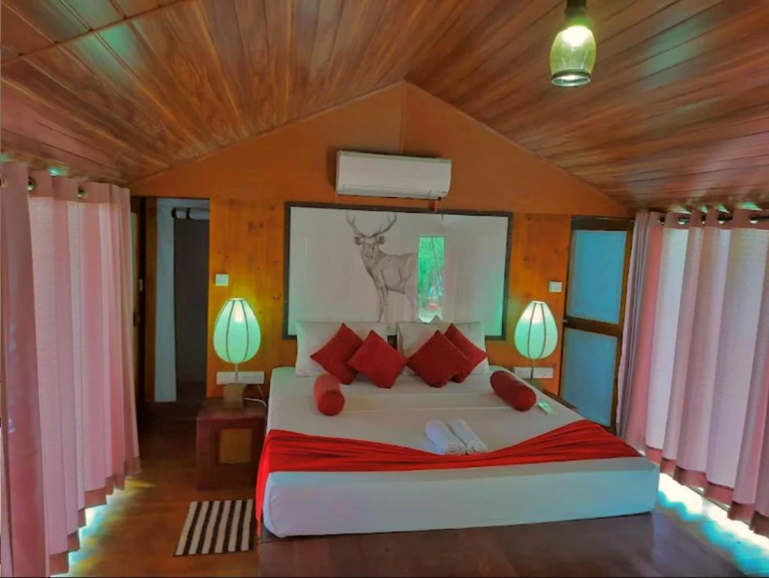 Yala Hotel Lion -Air Conditioned High Luxury Safari Camp エクステリア 写真