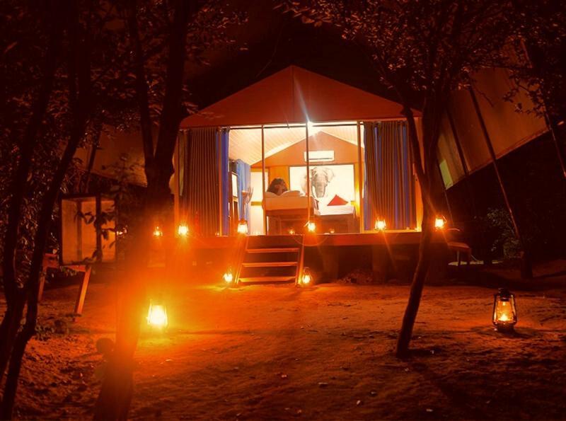 Yala Hotel Lion -Air Conditioned High Luxury Safari Camp エクステリア 写真